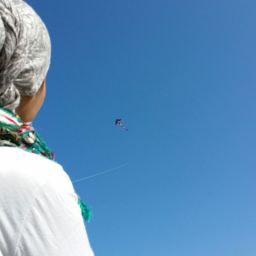#21. Fly a Kite